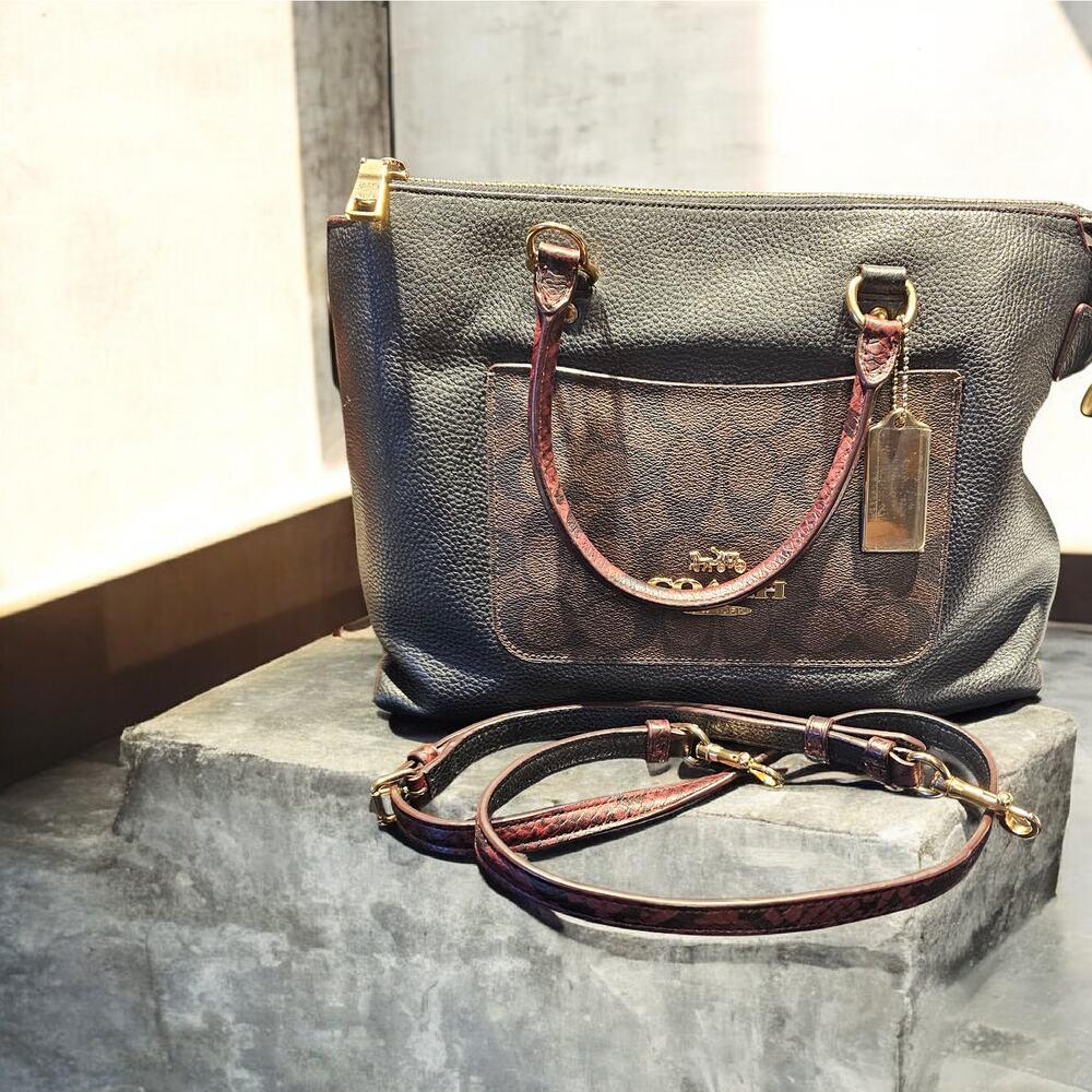 Coach Emma Satchel with Python Accents